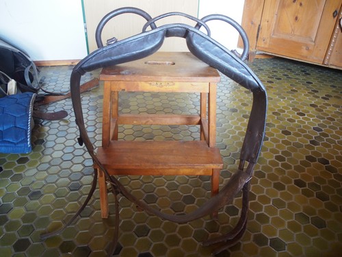 Voltigier longiergurt aus - -,