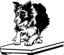 BORDER COLLIE Aufkleber - Autoaufkleber - sticker - AGILITY Wippe #04