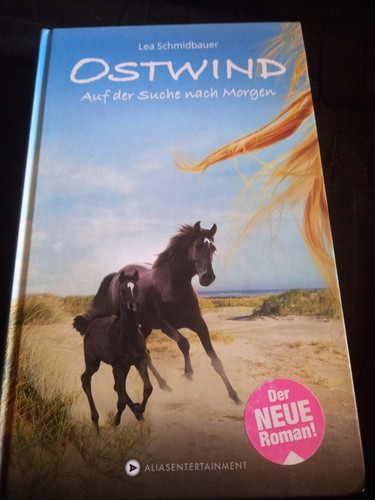 Ostwind auf der suche - der,