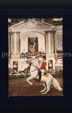 Reitsport Pferdesport