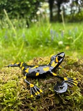 Feuersalamander, Metall