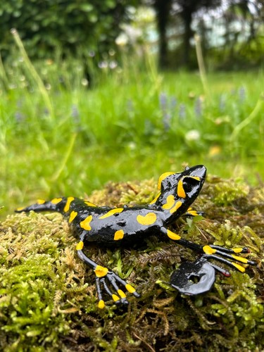 Feuersalamander metall - feuersalamander,,