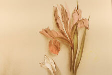 Christian Sommer (1941)