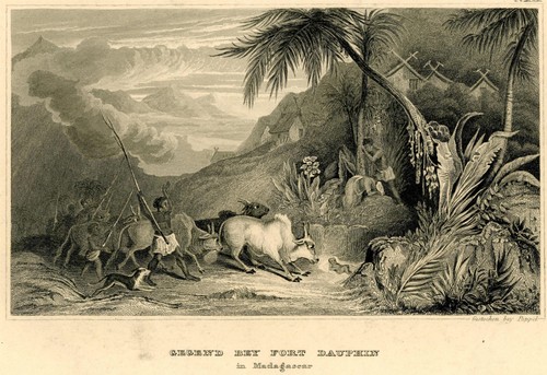 Madagaskar tolagnaro fort - madagaskar,