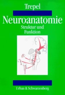 Neuroanatomie struktur und - neuroanatomie.,