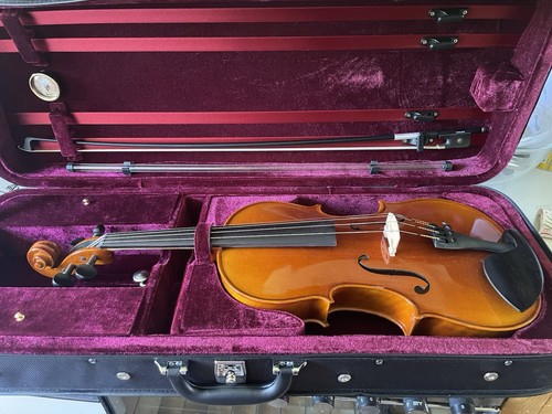 Viola bratsche david - bratsche, lien