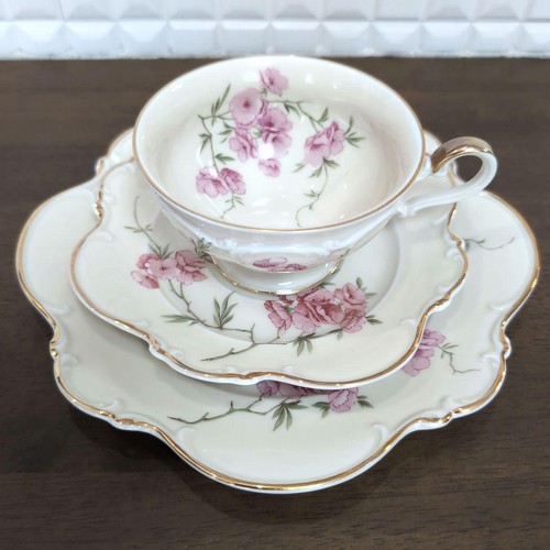 Hutschenreuther serb trio set - serb,
