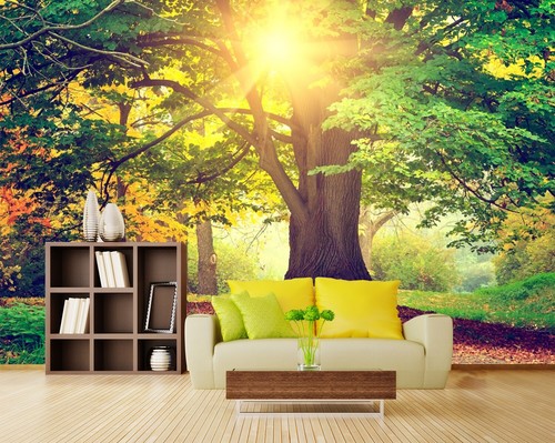 Sonnenschein groß baum - sonnenschein,