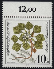 1108 Wohlfahrt Wassernuß