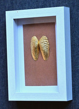 Heller Holzbilderrahmen mit goldfarbenen Muscheln und Passepartout