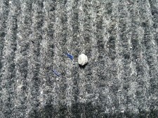 Spur N Antiebsritzel Roco VT