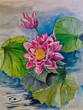 Aquarell orig seerosen - aquarell,