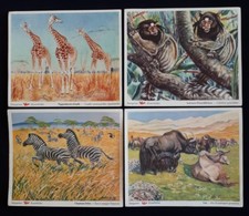 VOSS Margarine Kunstbilder für *Band ll * Serie 2/SÄUGETIERE/ 4 Sammelbilder 