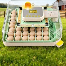 Vollautomatisch Inkubator