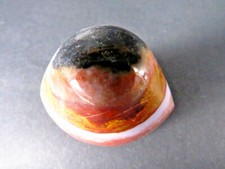 ShivaAuge Achat Augenachat von