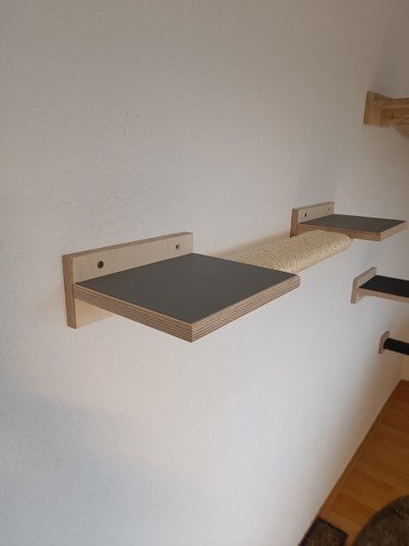 Catwalk katzen - catwalk,