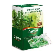 Chrysal Grünpflanzen und