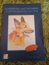 Schilddrüse und Verhalten: Schilddrüsenunterfunktion beim Hund 
