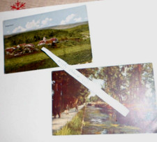 Dachbodenfund  Ansichtskarten