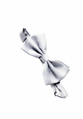 Einfarbig fliege silber 3 - fliege,