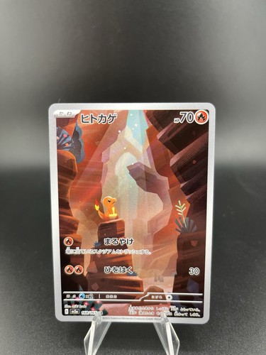 Pokémon charmander - 🇯🇵pokémon,