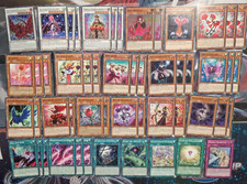 Yu-Gi-Oh! Rosendrache, Rose