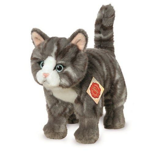 Katze stehend grau teddy - grau,