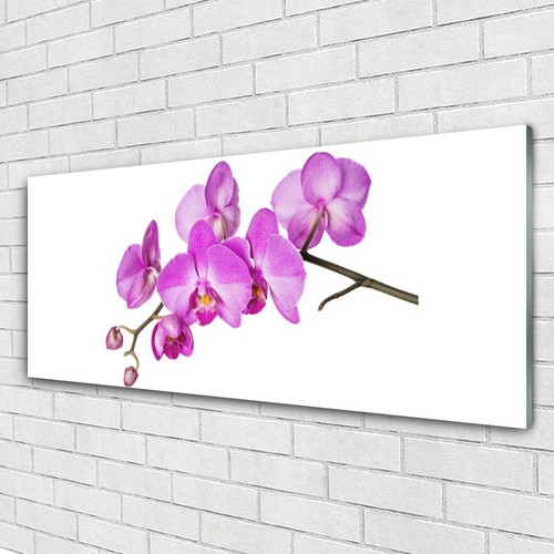 Glasbilder wandbild druck auf - glasbilder,