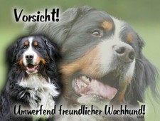 Berner sennenhund metallschild - berner,