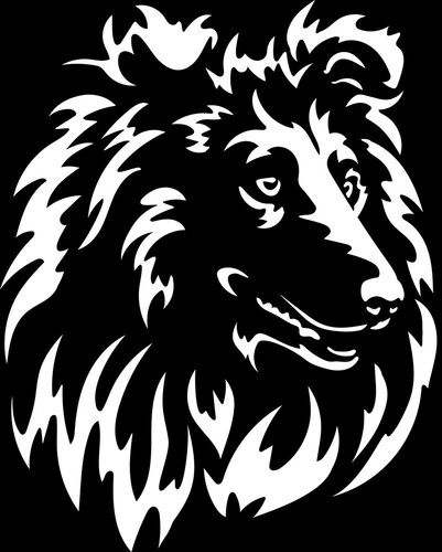 Collie aufkleber - aufkleber,