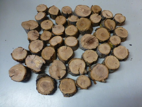 Holzscheibe holz - holzscheibe,