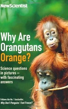 New scientist why are - scientist,