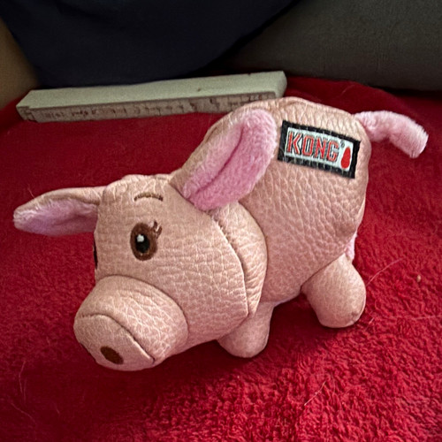 Kong schwein stoff - kong, &