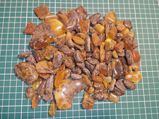 Bernstein Konvolut 274 Gramm SBM Königsberg Baltic Amber Trommelsteine