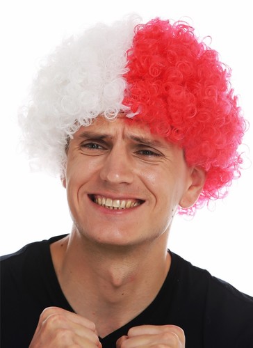 Perücke karneval afro - perücke,