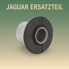 Querlenkerlager vorne unten