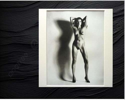 Stell auf helmut newton - stell-es-auf!,