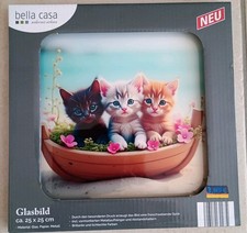 Glasbild "3 Katzenbabys im