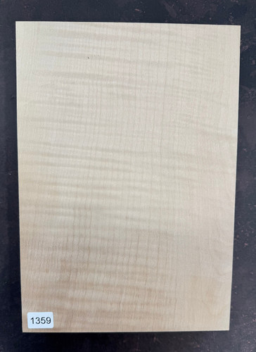 Riegelahorn flamed maple - riegelahorn,