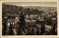 Ak Ilmenau in Thüringen, Wohnhäuser, Kirche, Wald, Landschaftsansicht - 4732449