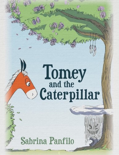 Panfilo tomey and - -,
