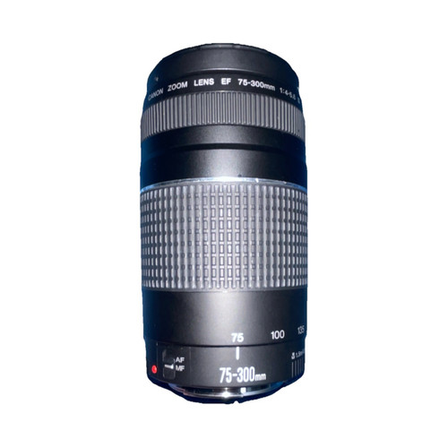 Canon 300mm 5 - ef, f/4-5.6