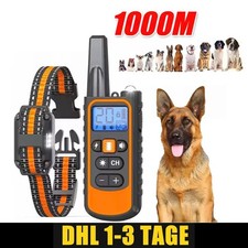 Hund ausbildung stromschlag - hund,