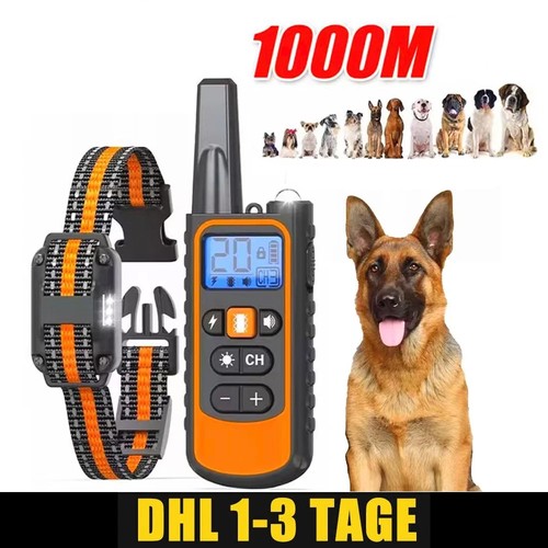 Hund ausbildung stromschlag - hund,