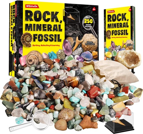 Edelsteine fossilien set 250 - fossilien,