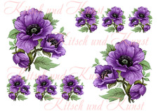 lila Mohnblumen Abziehbild