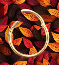 I OHRRING CLICKER 6 mm I Echt