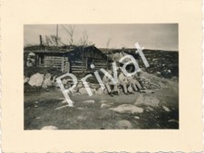 Foto WK2 Gebirgs-Armeekorps