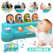Pop up Baby Spielzeug ab 12