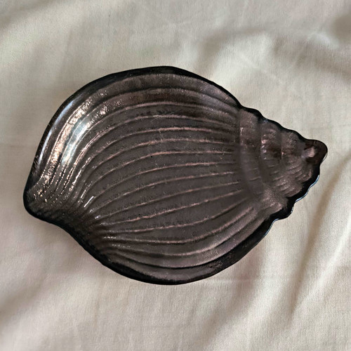 Muschelförmige glas - muschelförmige,